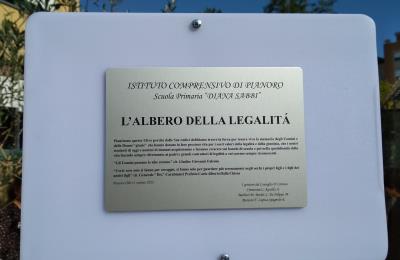 Il primo albero della legalità foto 