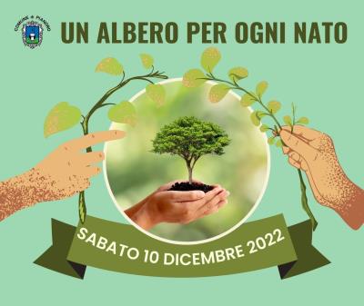 Distribuzione alberi ai nuovi nati nel 2021 foto 