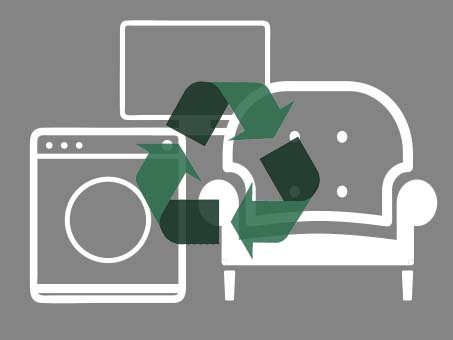 Progetto api e verde ambientale