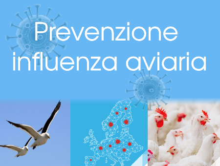 Prevenzione influenza aviaria