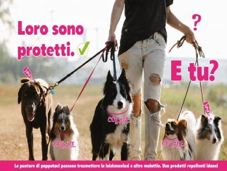 Protetti dalla Leishmania